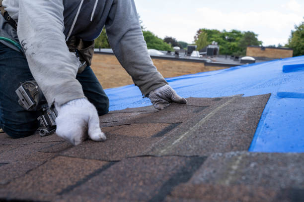 Roof Gutter Cleaning in Hicksville, NY